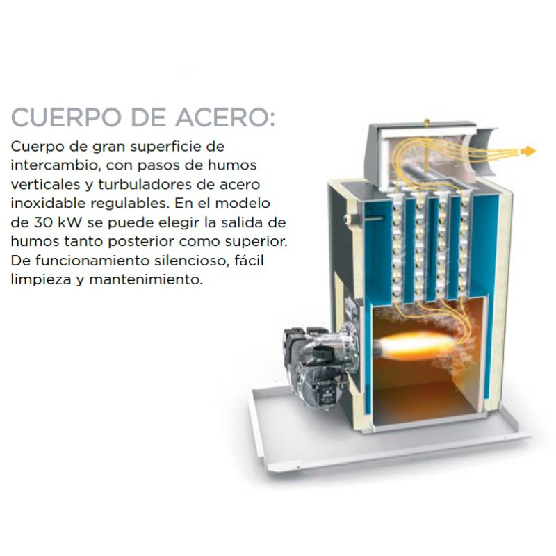 Caldera Gasoil Lasian Activa 30 A Mixta Acero