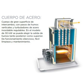 Caldera Gasoil Lasian Activa 40 A Mixta Acero