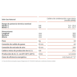 Caldera Viessmann Vitodens 050 BPKB 25 Condensación
