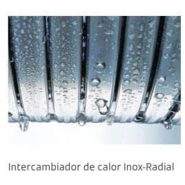 Caldera Viessmann Vitodens 050 BPKB 25 Condensación