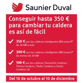 Caldera Saunier Duval Thema Condens F25