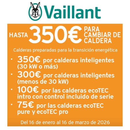 Caldera Vaillant Ecotec Plus SMART (Solo Calefaccion)  VM 25 CS + SensoHome Cable